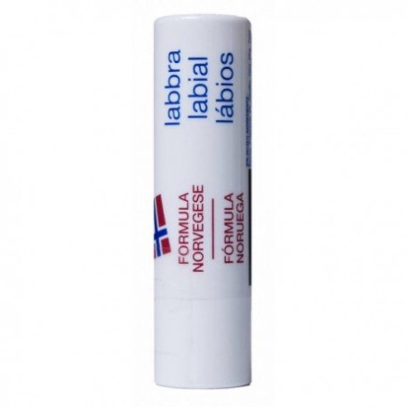 NEUTROGENA LABIOS STICK SPF20 4,8 G