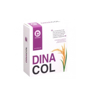 DINACOL 30 CAP BAMBU